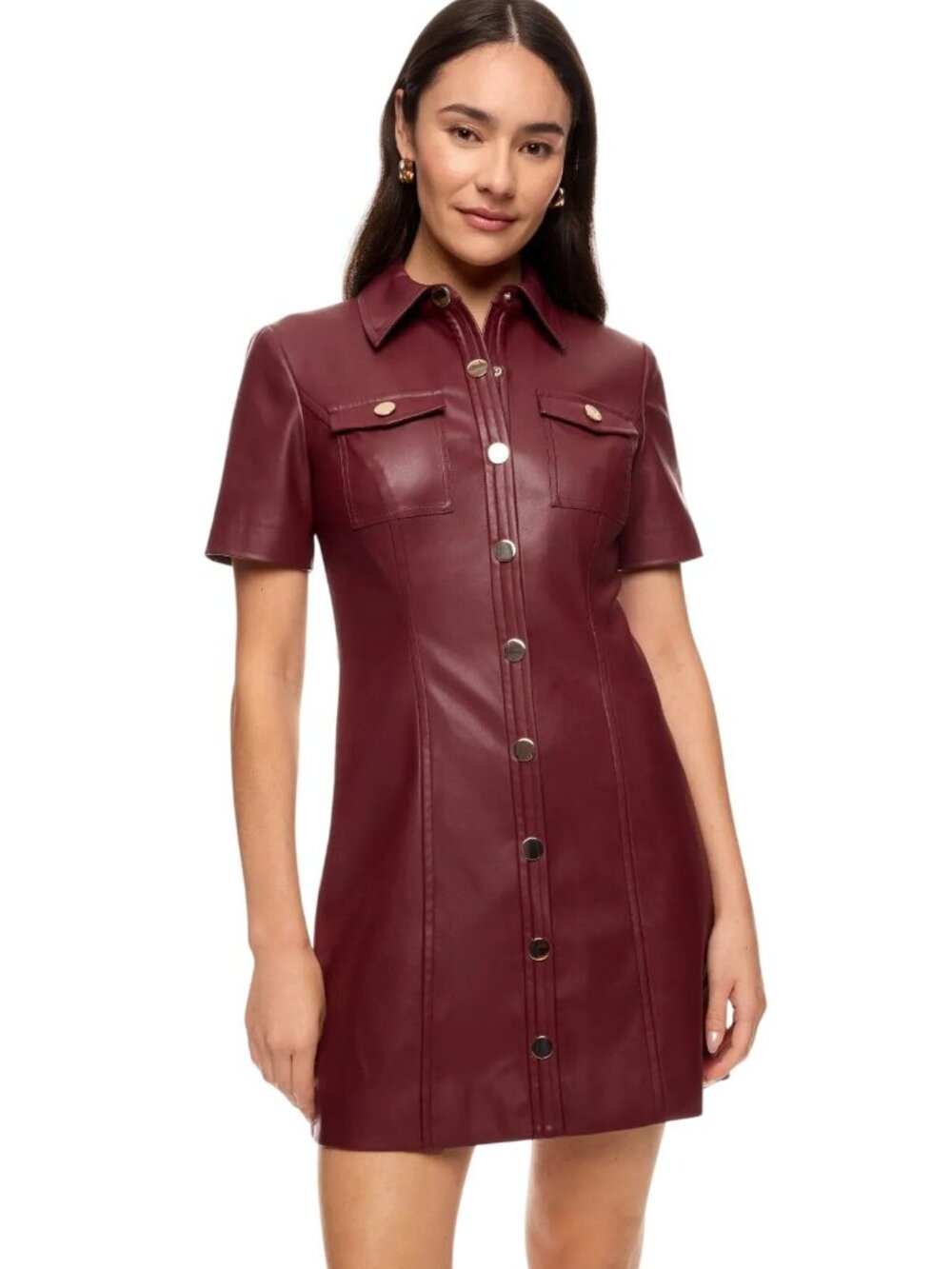 TOCCIN Faux Leather Short Sleeve Dress in Burgundy 2 Women